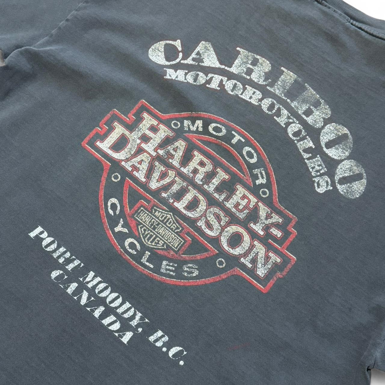 Vintage Y2K Distressed Harley Davidson Flames Biker Motorcycle T-shirt