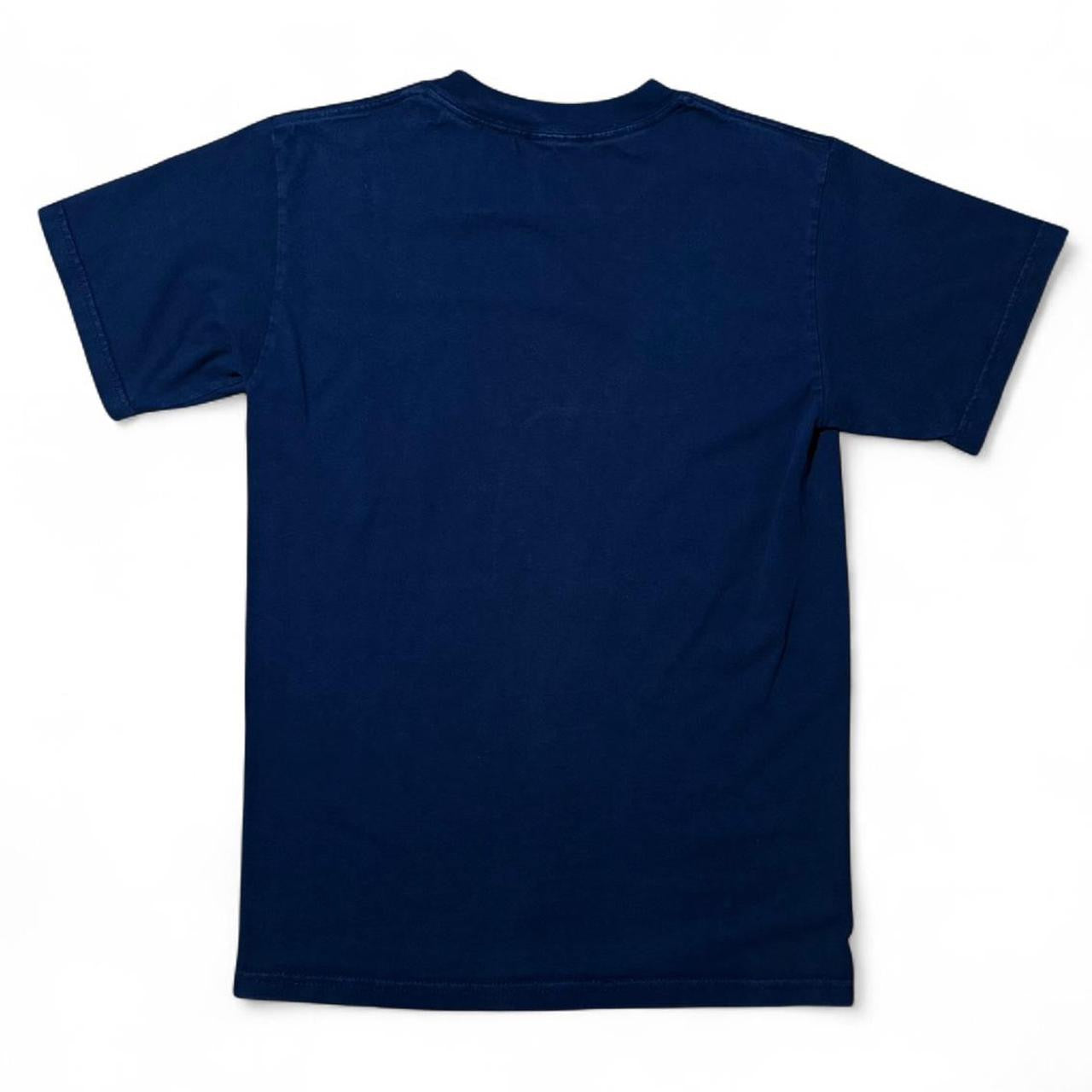 Disneyland Splash Mountain Tee