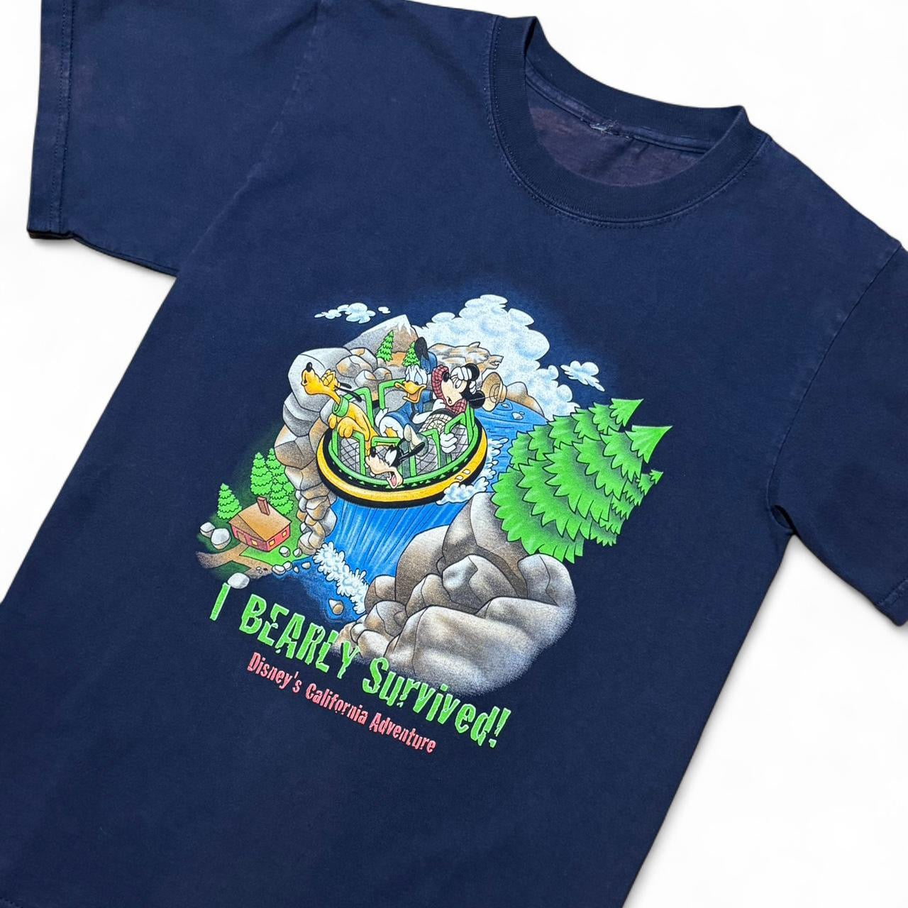 Disneyland Splash Mountain Tee