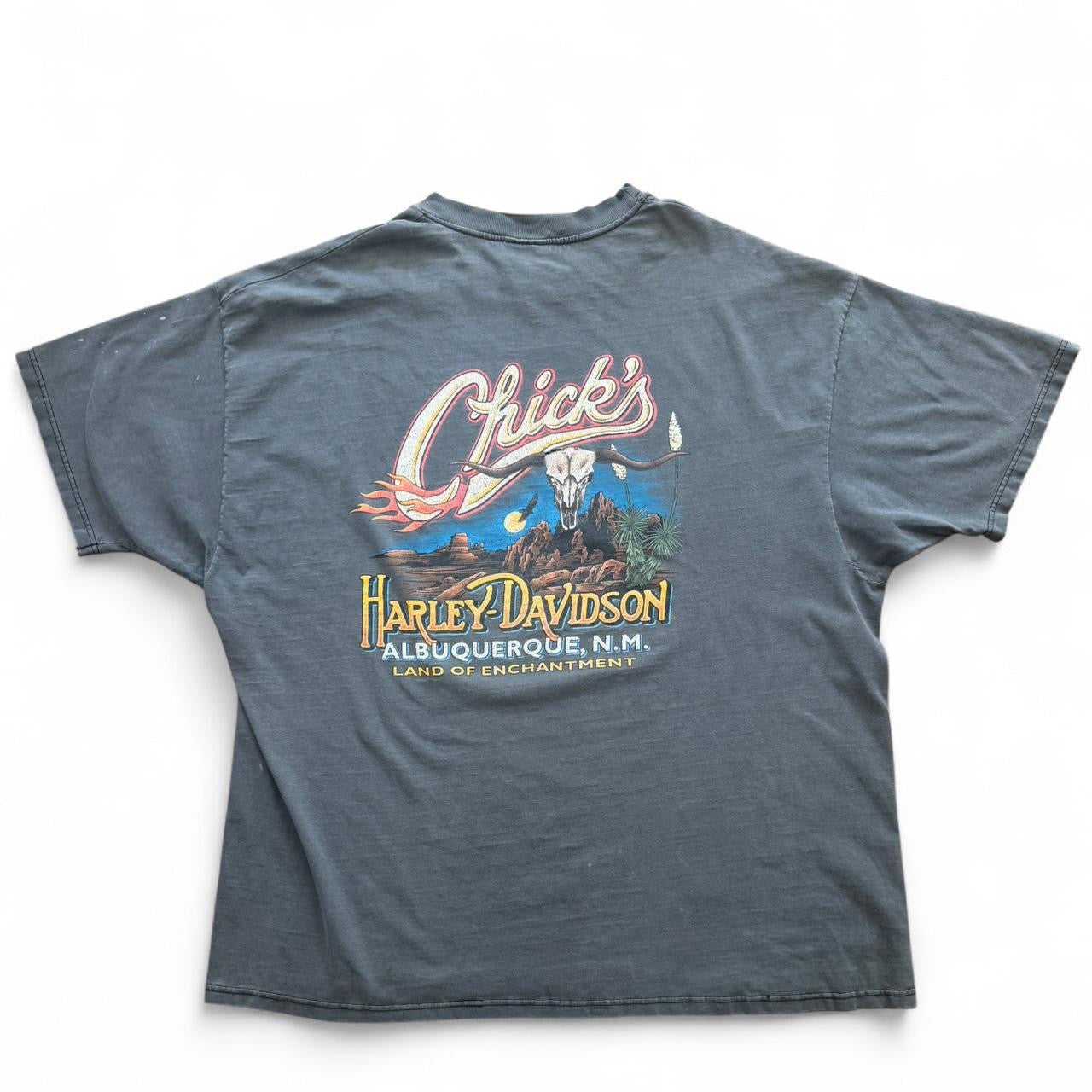 90s Harley Davidson Distressed Albuquerque New Mexico Biker Tee