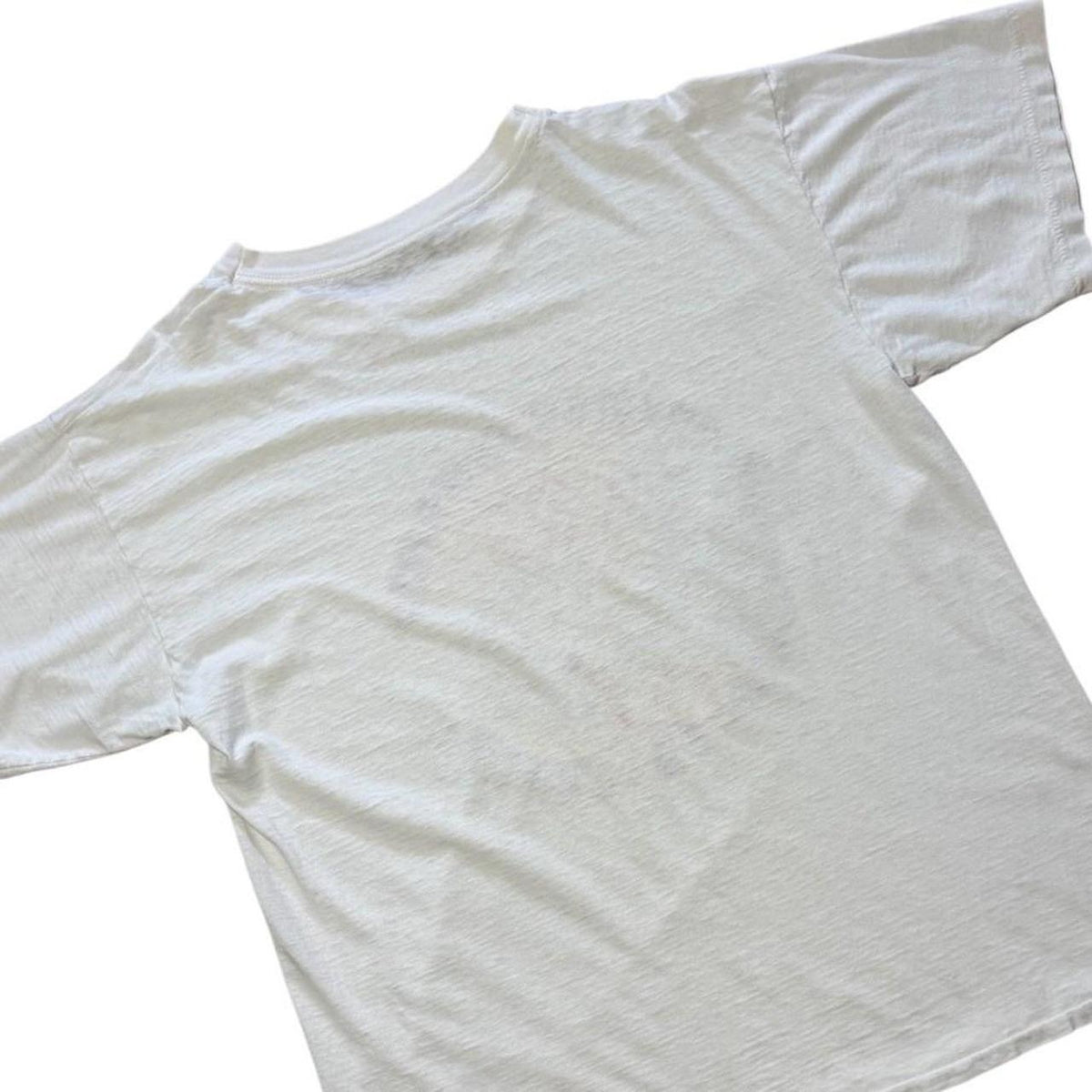 90s San Diego Zoo Giant Pandas Endangered Animal Kanji Cute Art T-shirt