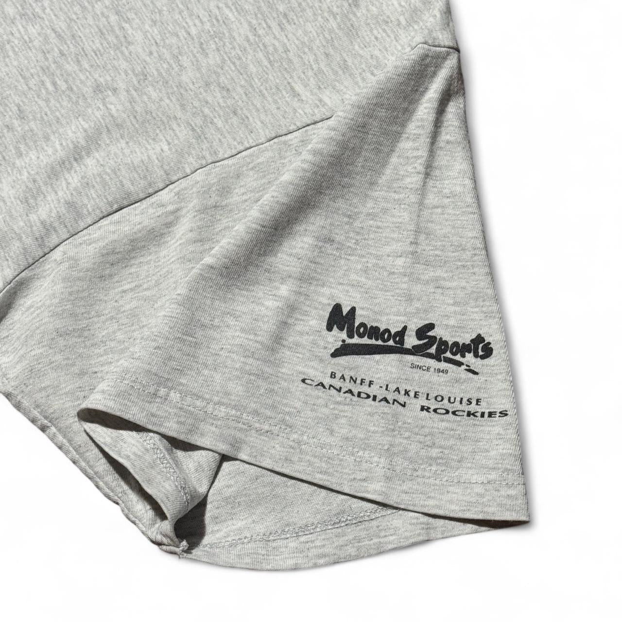 90s Heather Grey Triblend I Fish Therefore I Am Tee