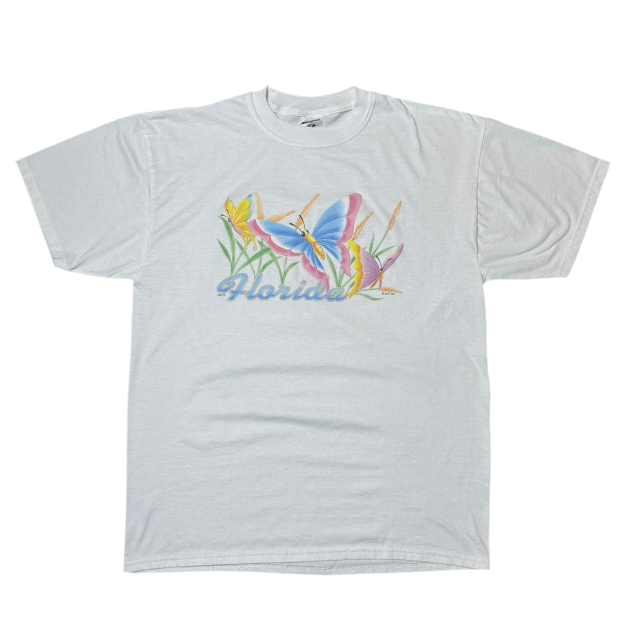 2007 Florida Butterfly Flowers Puff Print Tee