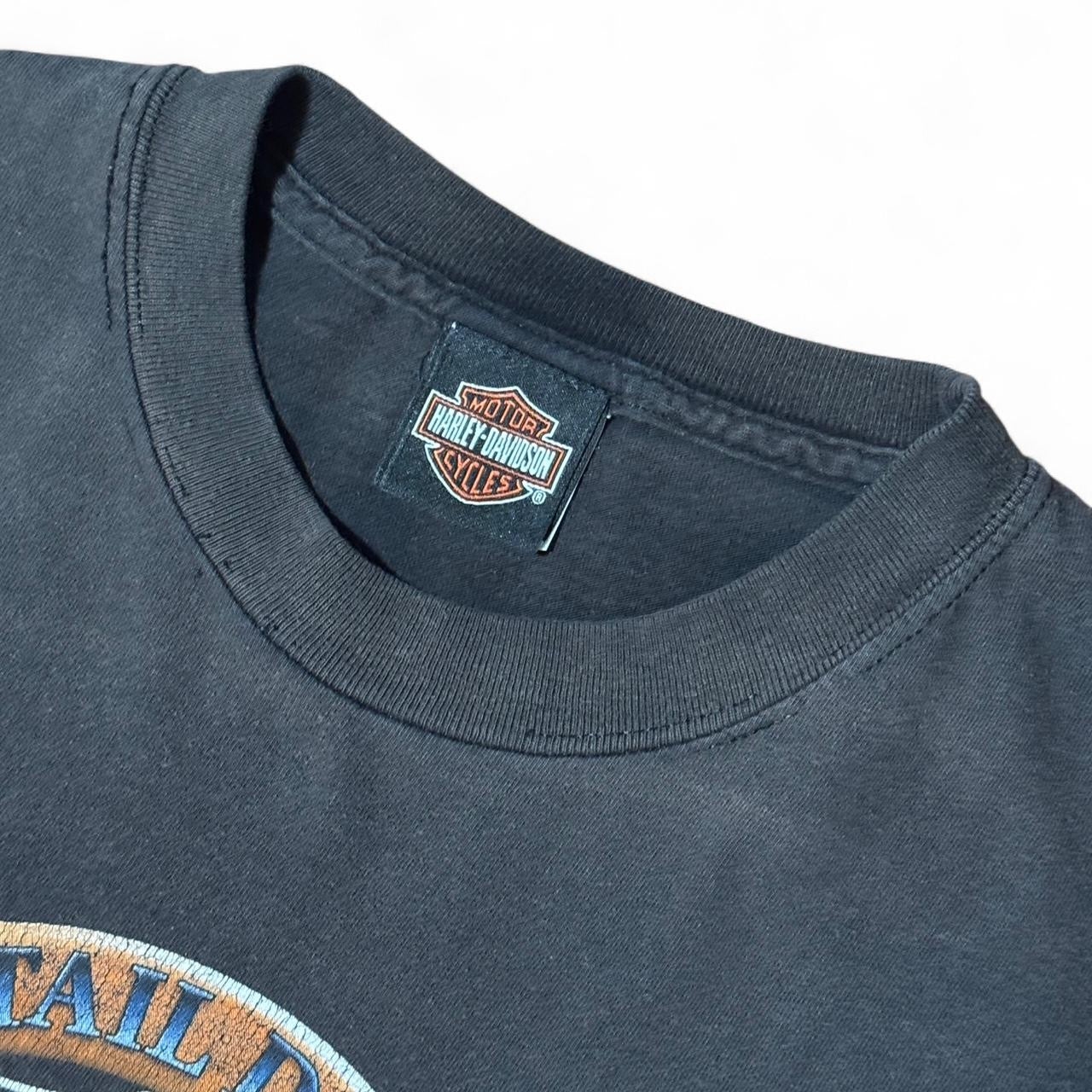 90s Faded Harley Davidson Snake Wisconsin Biker Tee