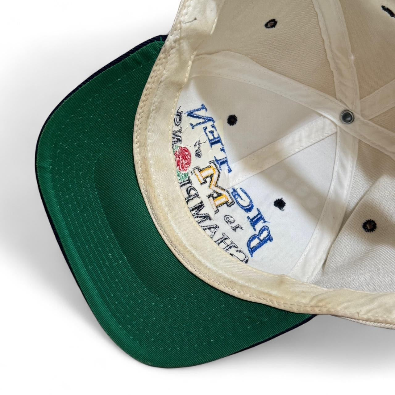 1997 Michigan Wolverines Big 10 Champions Rose Bowl Vintage Snapback Headmaster Hat