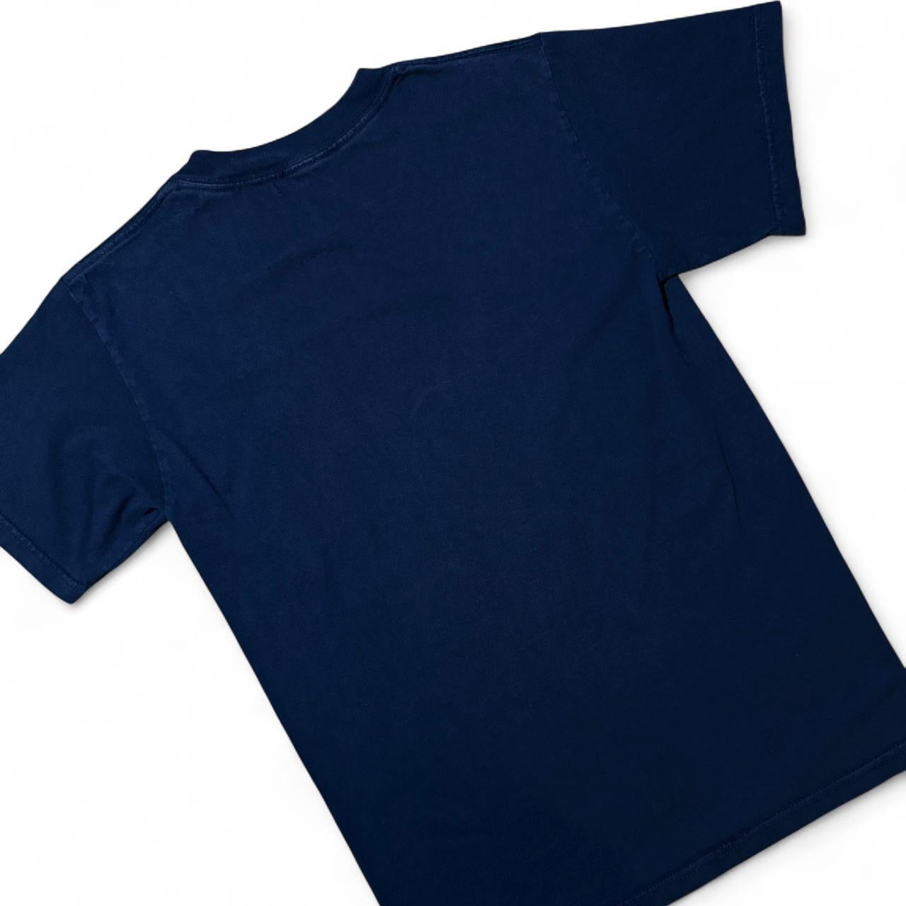 Disneyland Splash Mountain Tee