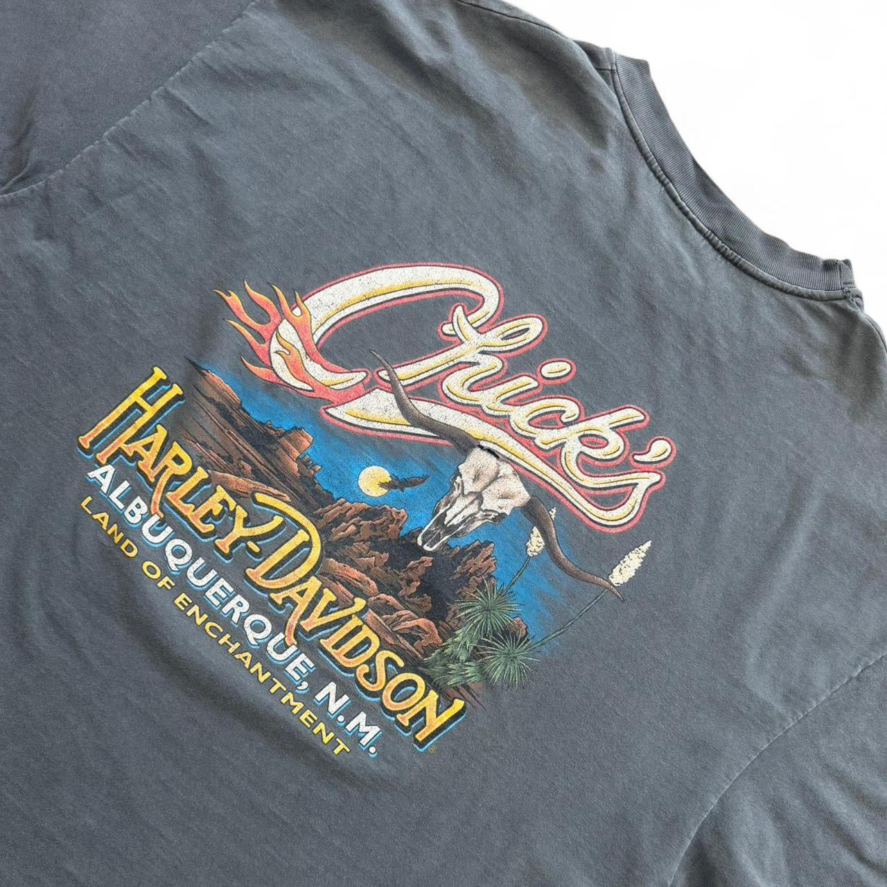 90s Harley Davidson Distressed Albuquerque New Mexico Biker Tee