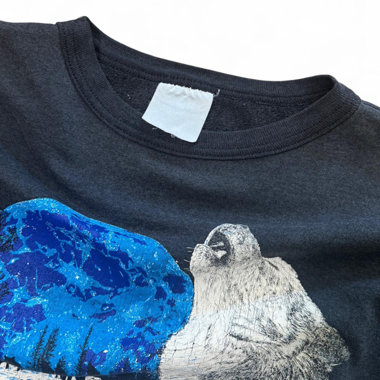 90s Northern Adventures Wolf Crewneck