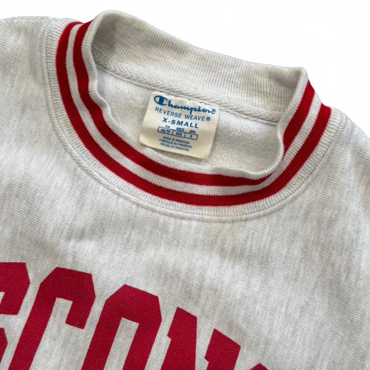 Champion Reverse Weave Wisconsin Badgers Crewneck