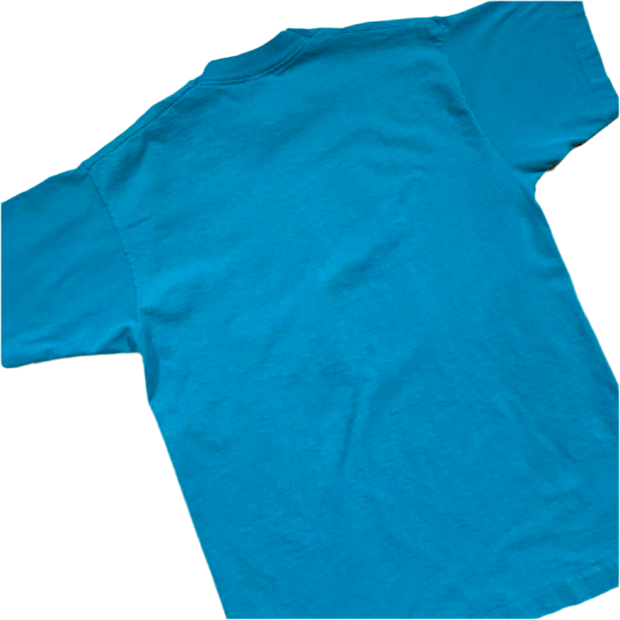 90s Raccoon Valley View Nature Tee