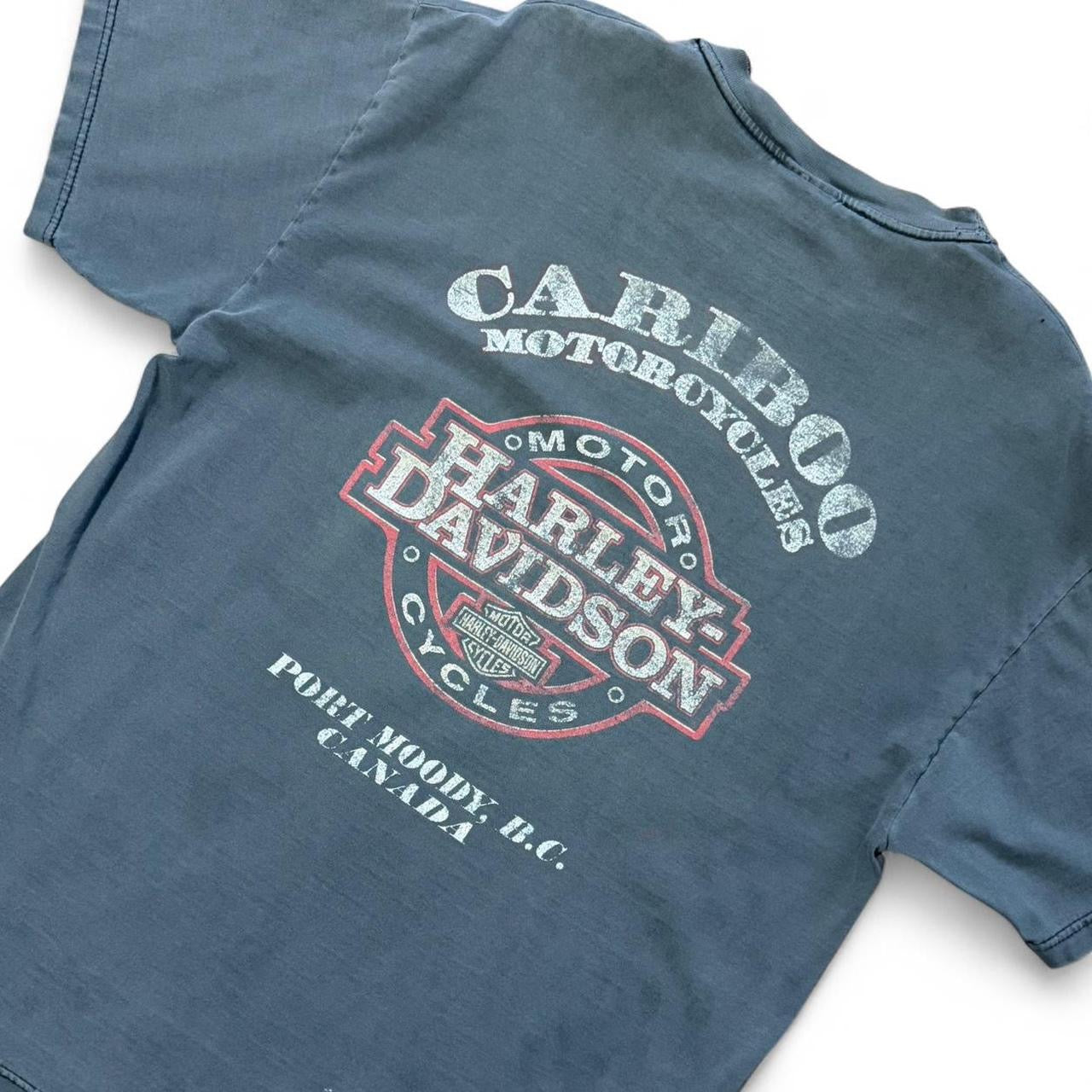 Vintage Y2K Distressed Harley Davidson Flames Biker Motorcycle T-shirt