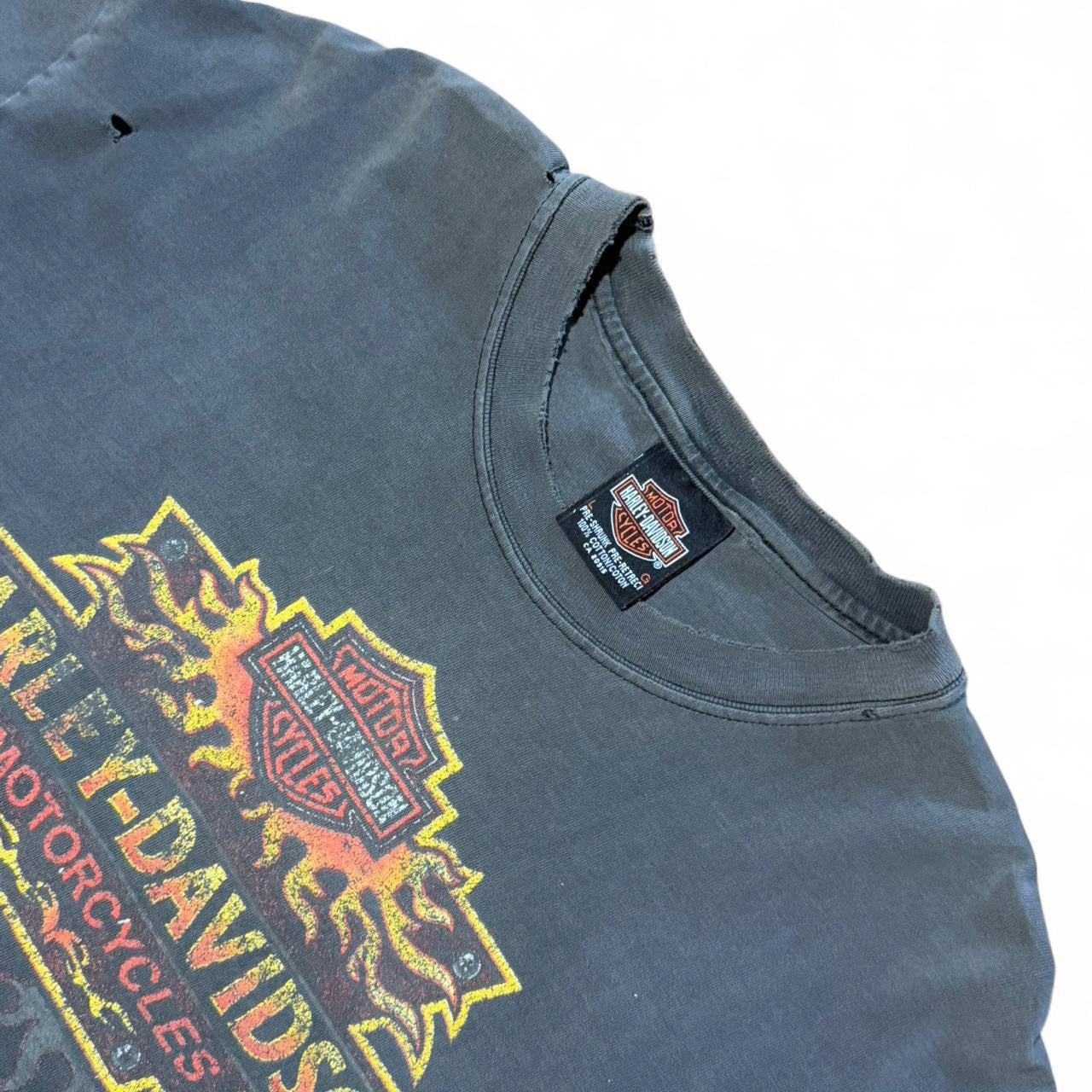 Vintage Y2K Distressed Harley Davidson Flames Biker Motorcycle T-shirt