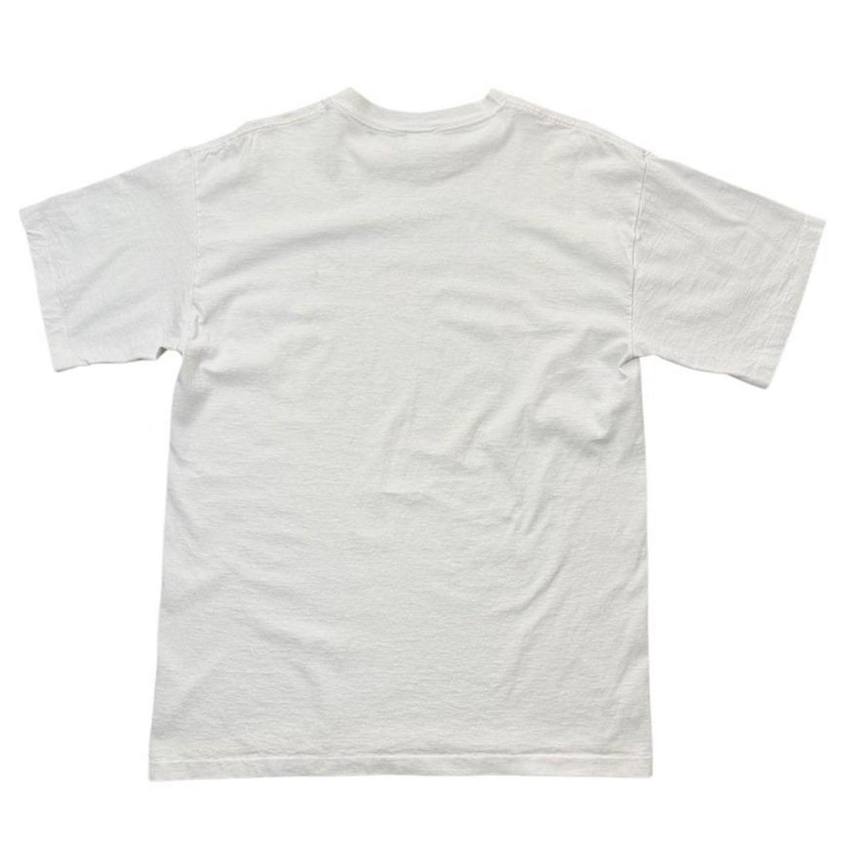 90s Jim Morris Heal The Earth As One Red Rocks Environmental Art T-shirt
