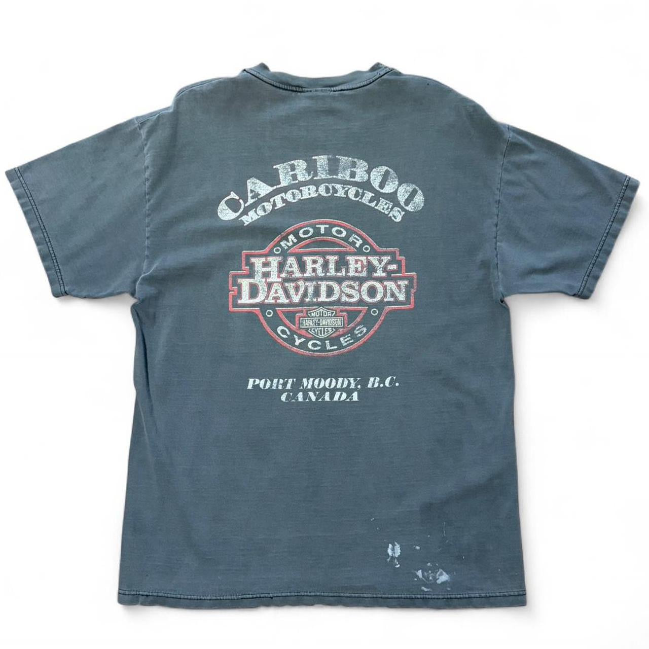 Vintage Y2K Distressed Harley Davidson Flames Biker Motorcycle T-shirt