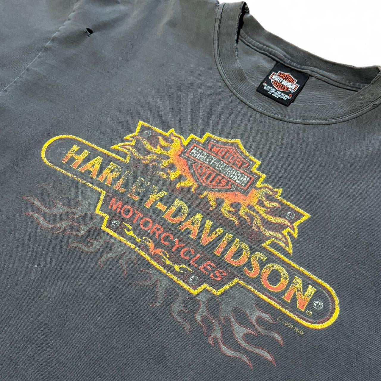 Vintage Y2K Distressed Harley Davidson Flames Biker Motorcycle T-shirt