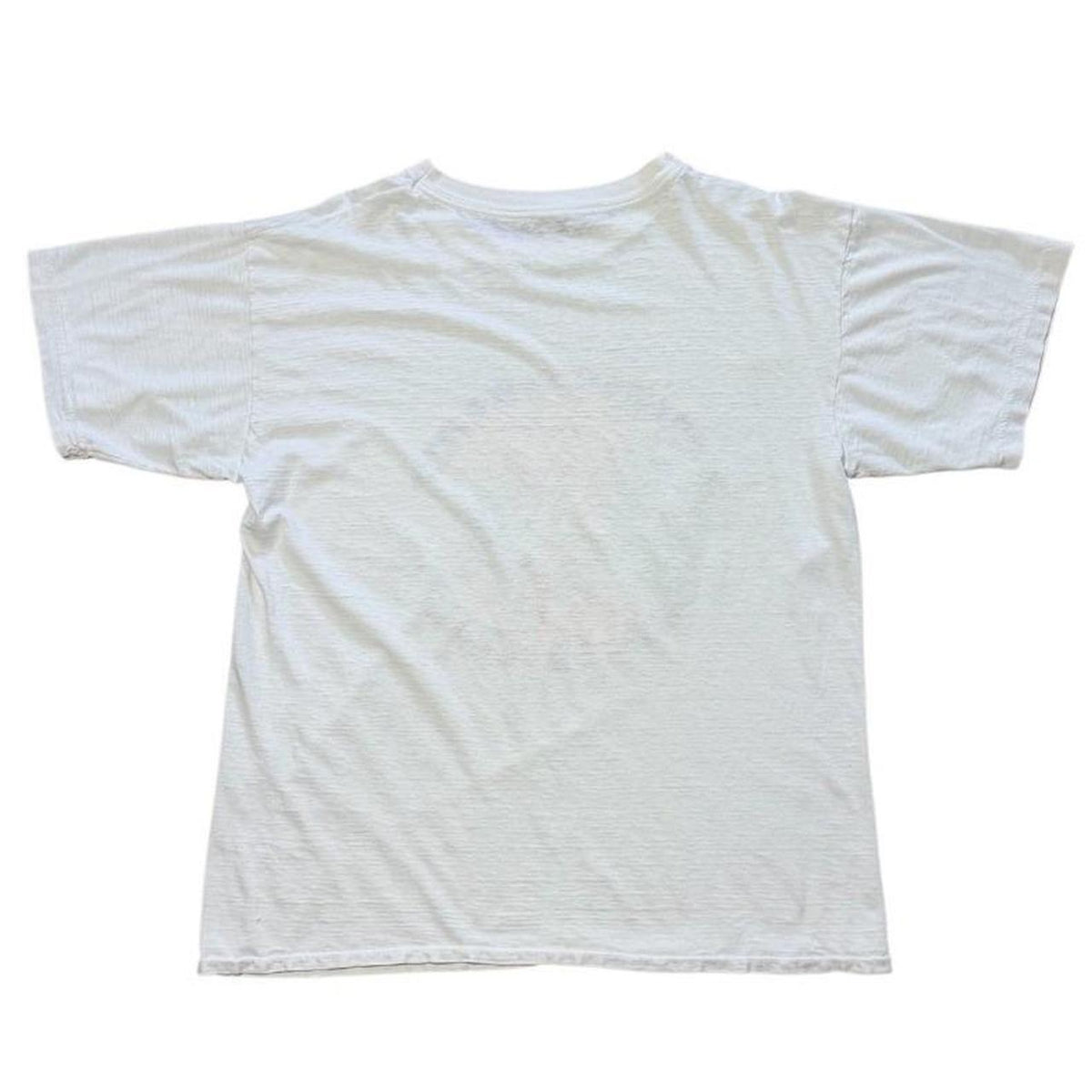 90s San Diego Zoo Giant Pandas Endangered Animal Kanji Cute Art T-shirt