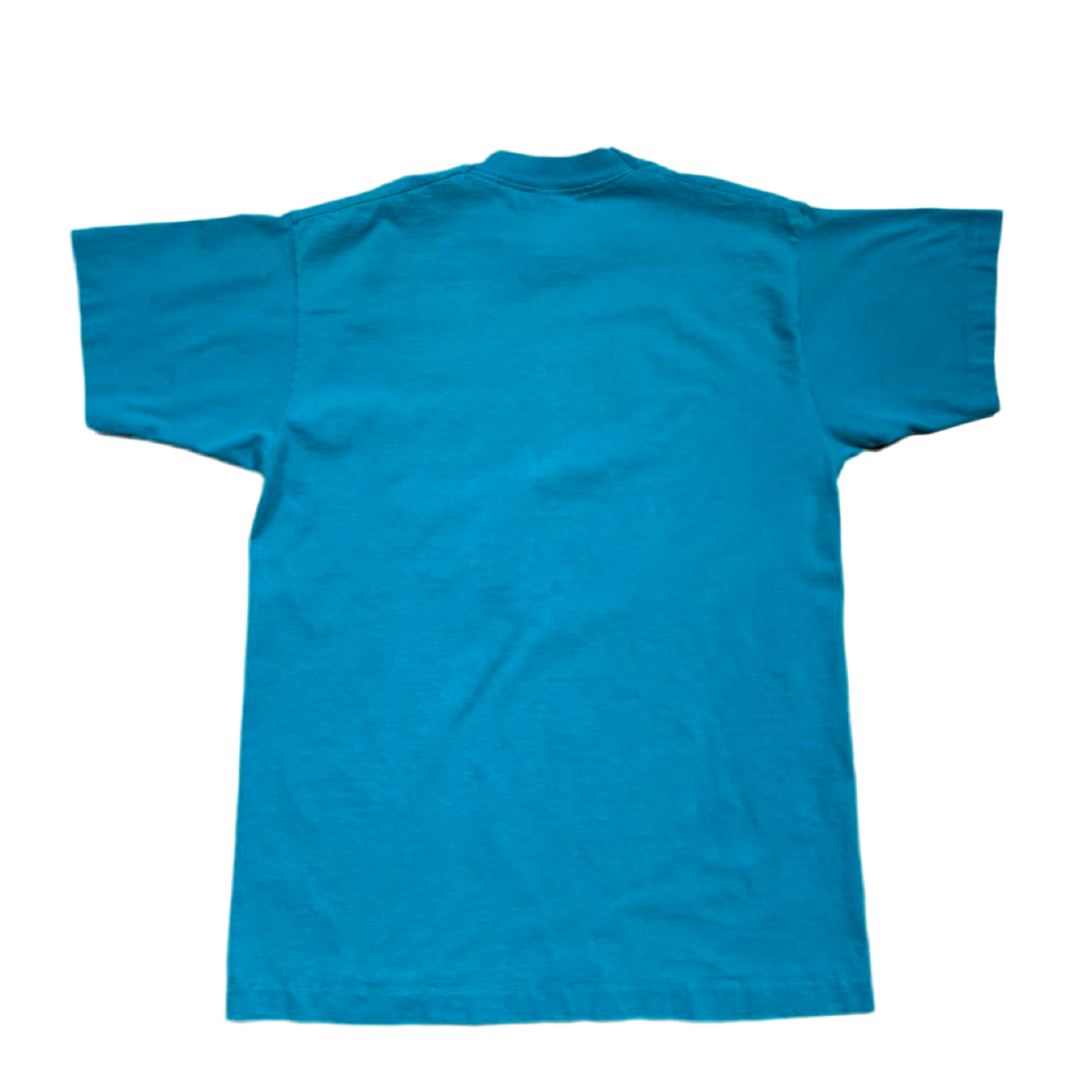 90s Raccoon Valley View Nature Tee