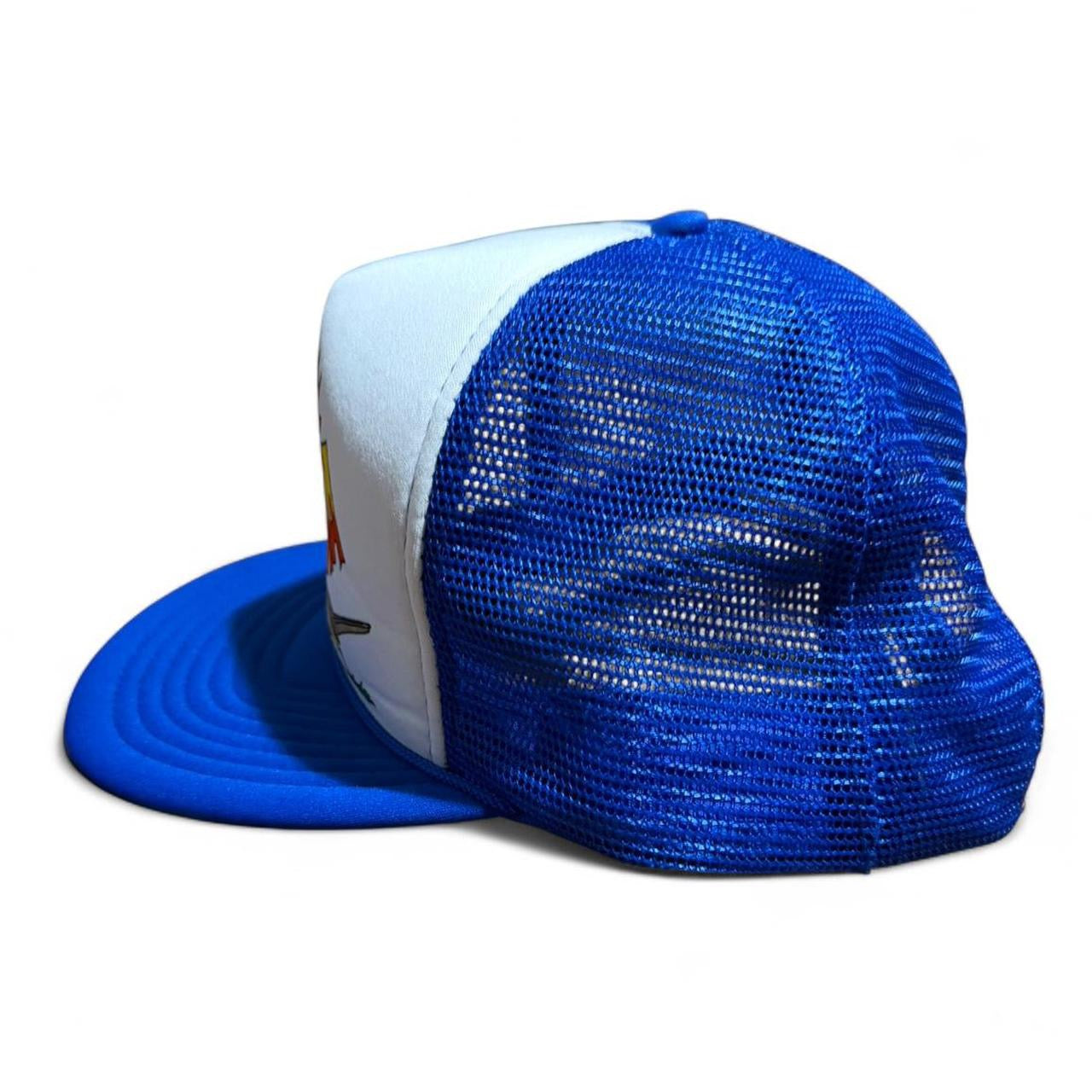 Vintage 90s Arizona Art Souvenir Tourist Trucker Mesh Graphic Snapback Hat