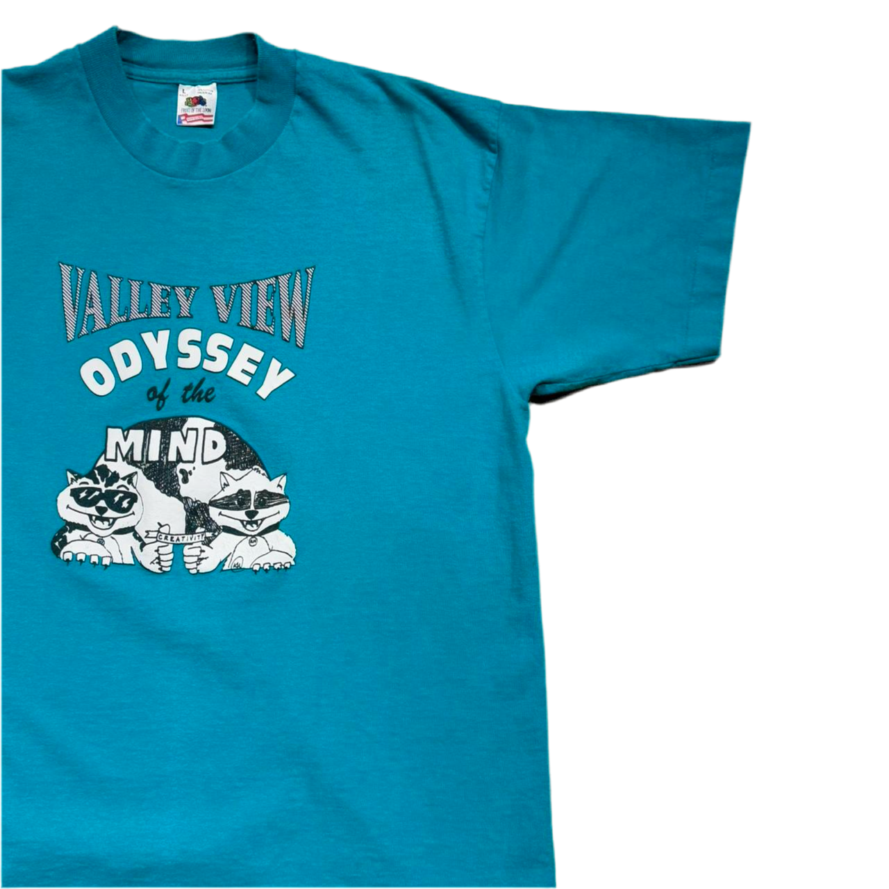 90s Raccoon Valley View Nature Tee